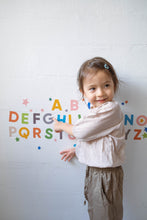 Load image into Gallery viewer, ABC Removable Wall Decal
