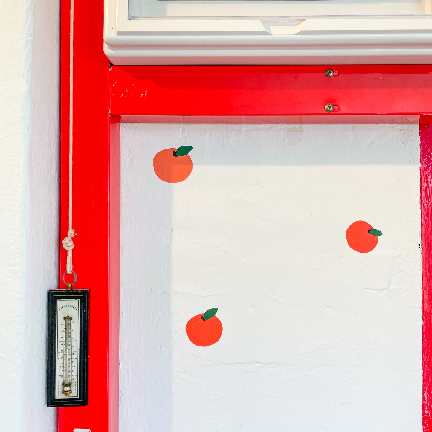 Clementine Orange Removable Wall Decal