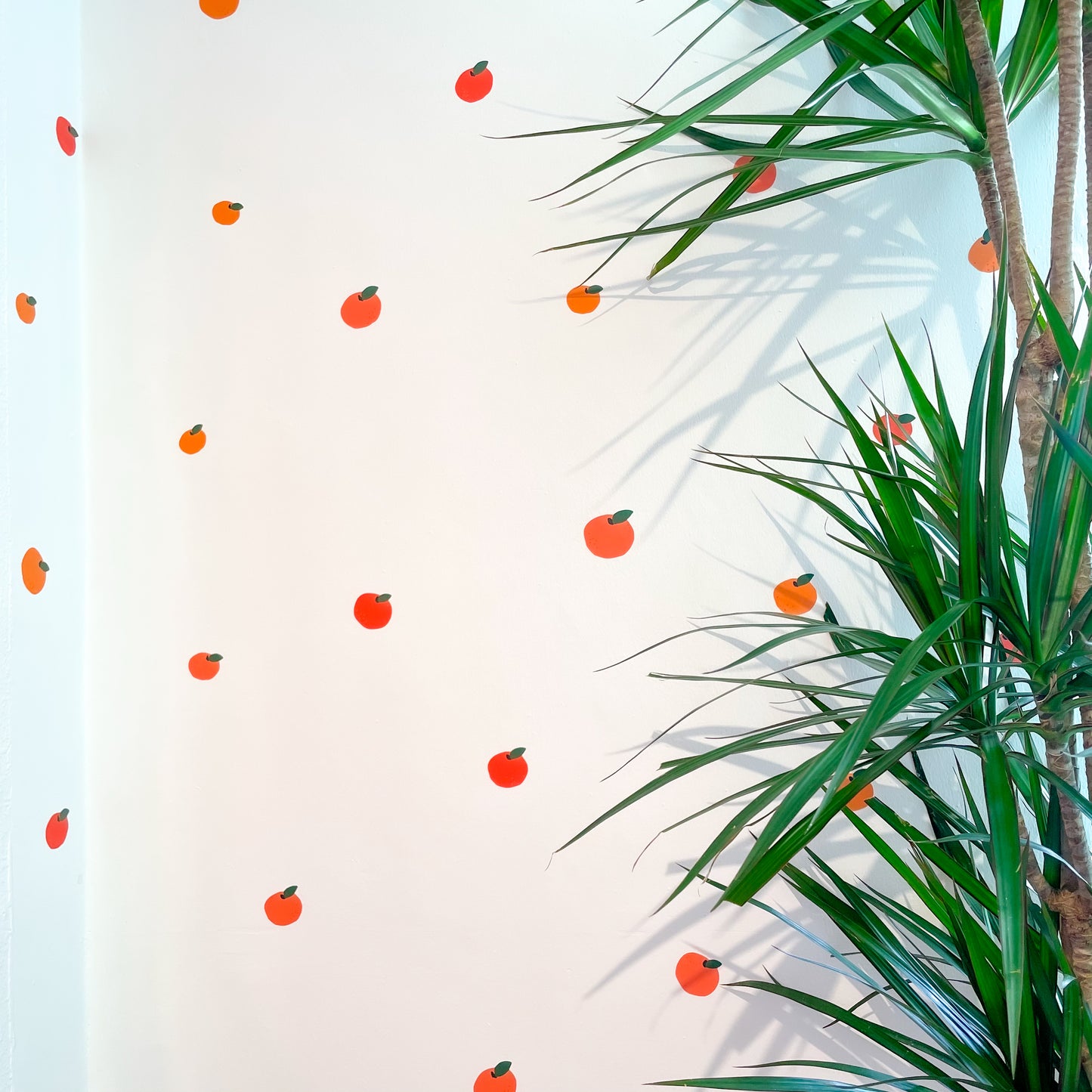 Clementine Orange Removable Wall Decal