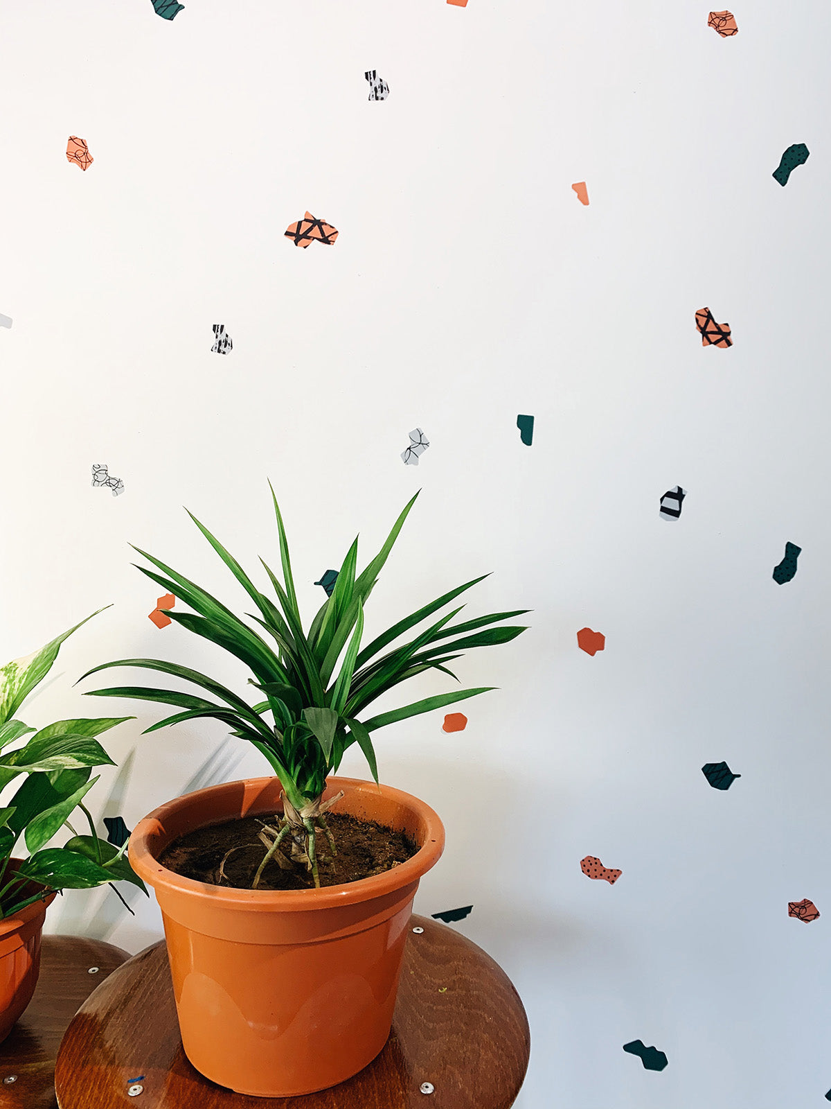 Collage Shapes (Botanical Palette) Removable Wall Decal